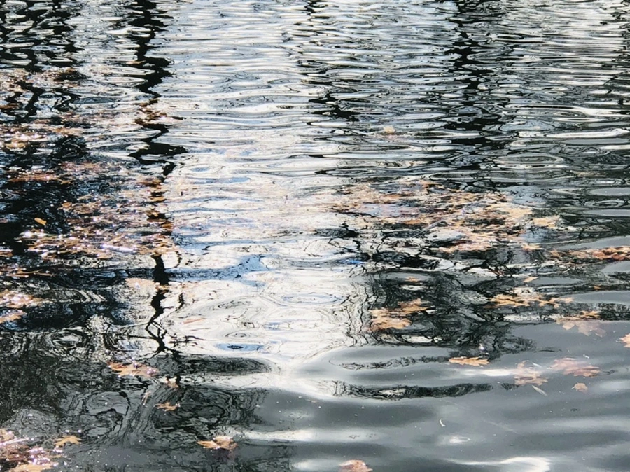 IMG_4363.jpg?type=w966