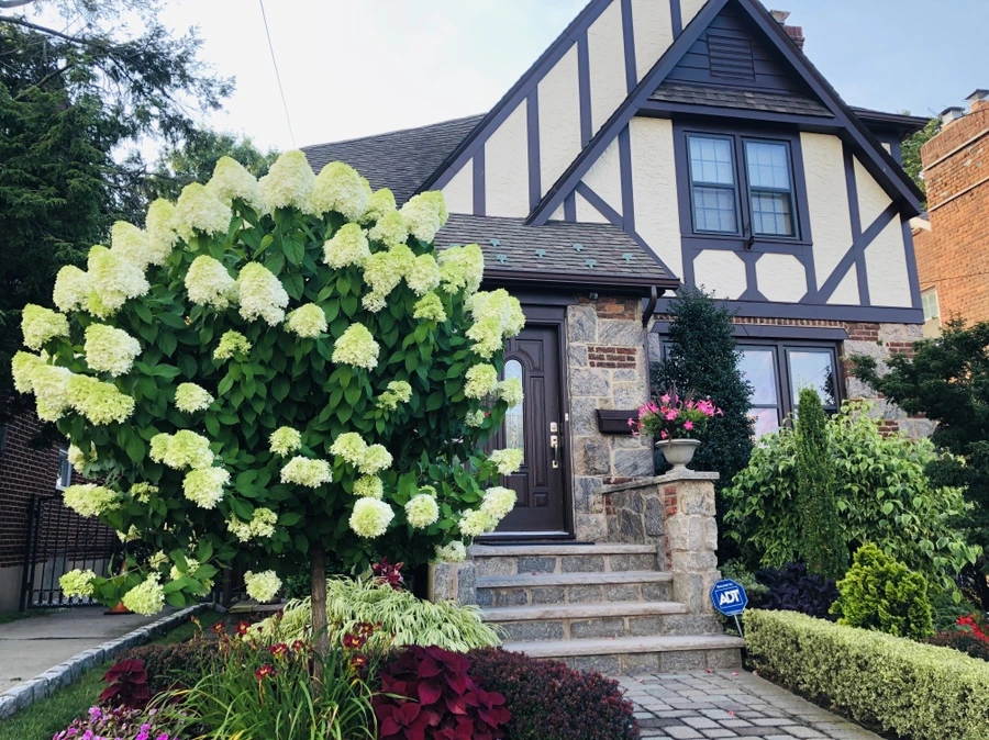 IMG_4703.jpg?type=w966