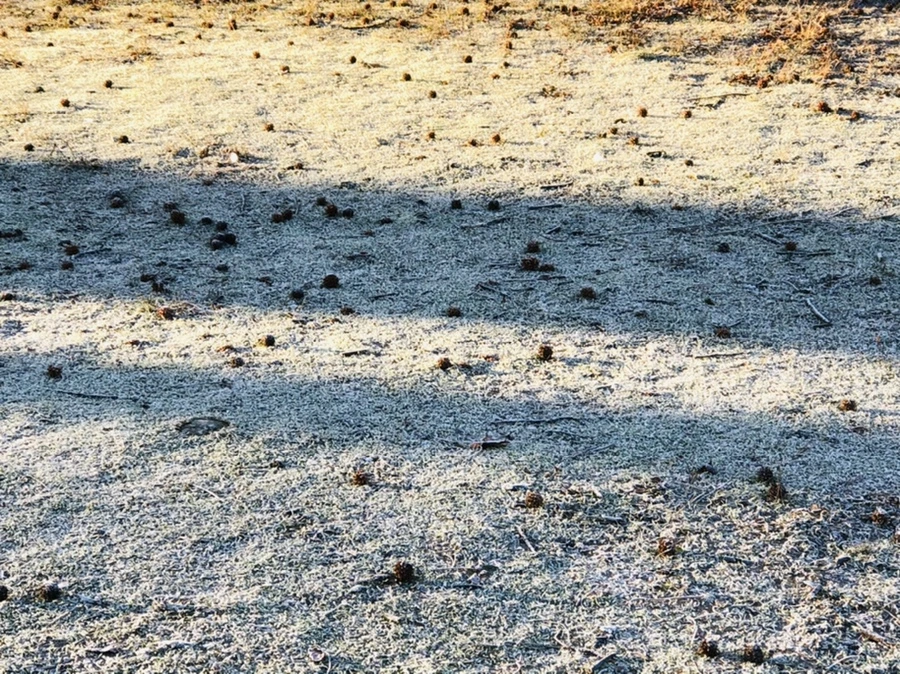 IMG_2221.jpg?type=w966