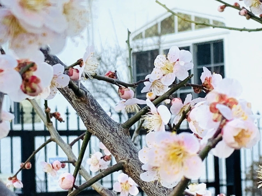 IMG_0849.jpg?type=w966