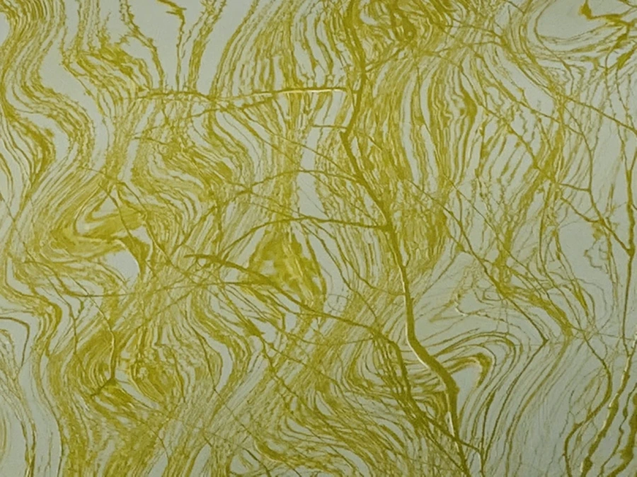 IMG_4429.jpg?type=w966