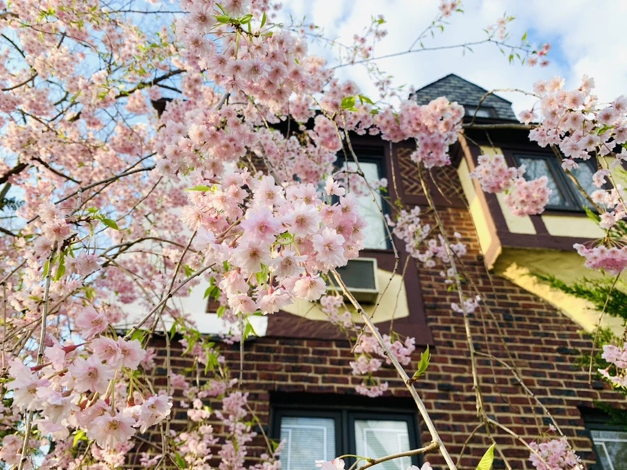 IMG_3792.jpg?type=w966