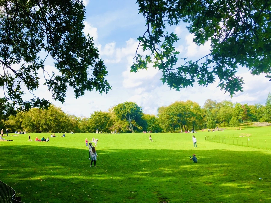 IMG_1924.jpg?type=w966