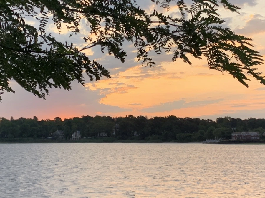 IMG_1694.jpg?type=w966