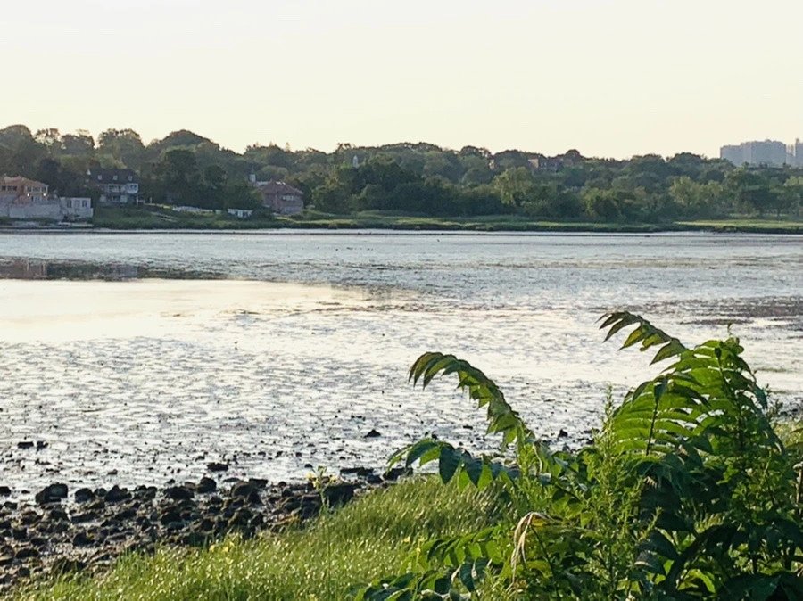 IMG_9808.jpg?type=w966