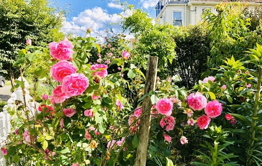 XBzzEKk4QapV54DHbCxxJWBwVmg