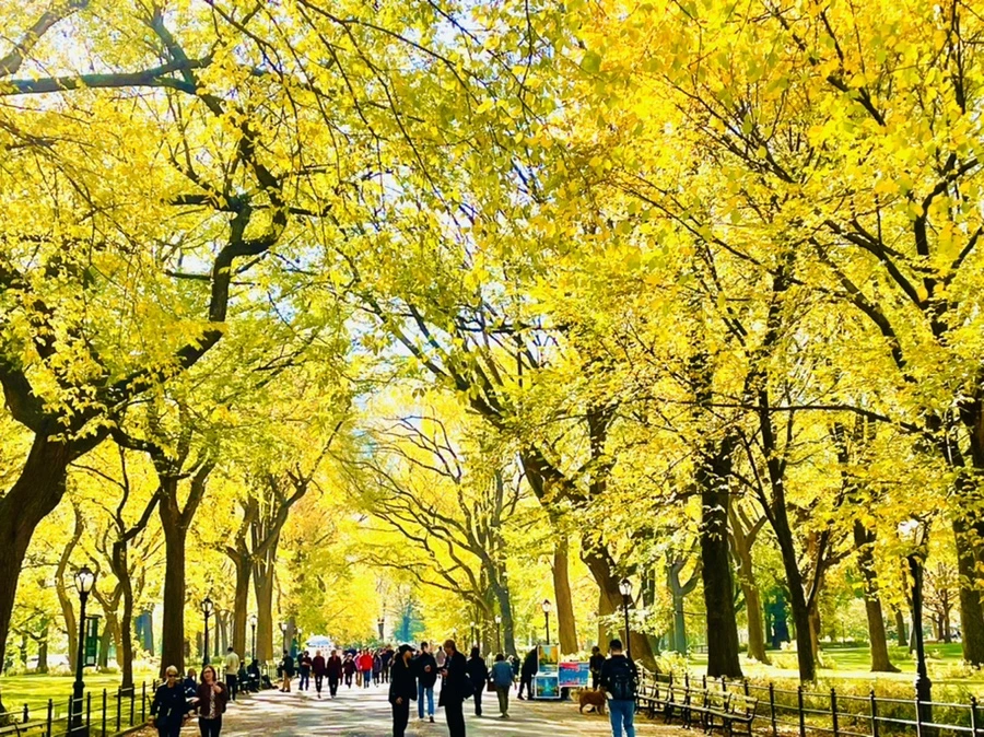 IMG_1579.jpg?type=w966