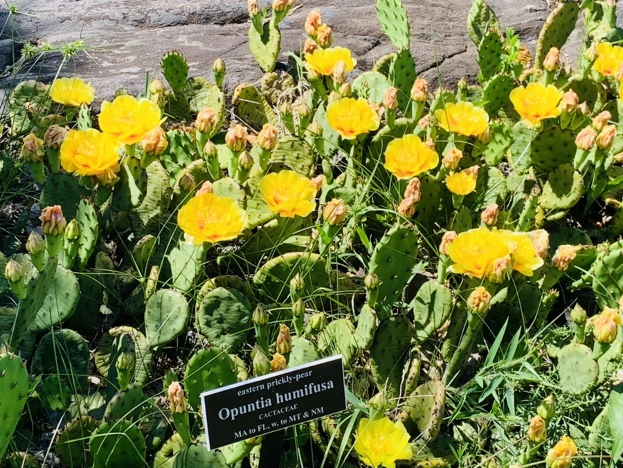 IMG_4697.jpg?type=w966