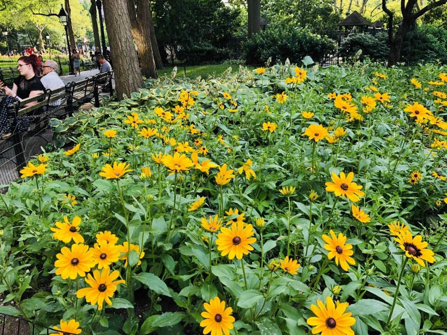 IMG_7504.jpg?type=w966