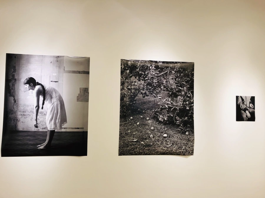 IMG_9626.jpg?type=w966