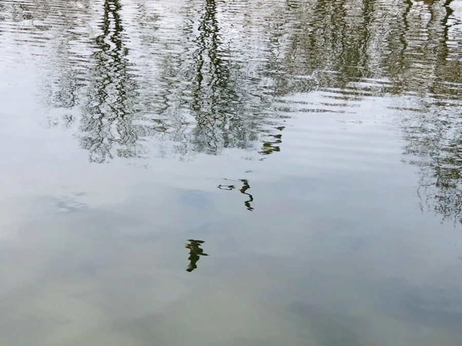 IMG_9880.jpg?type=w966