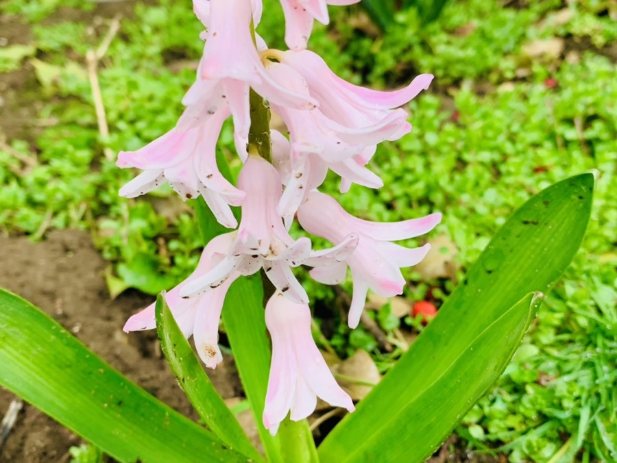 IMG_5354.jpg?type=w966