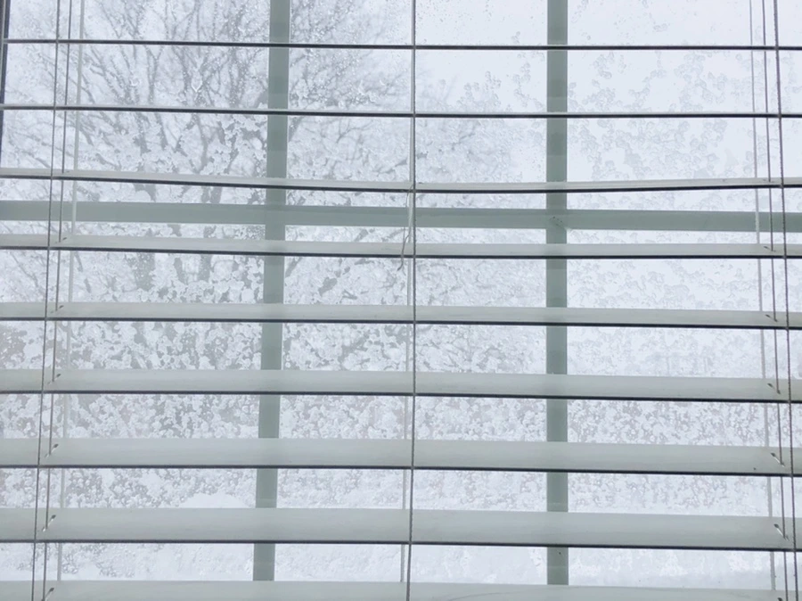 IMG_8883.jpg?type=w966