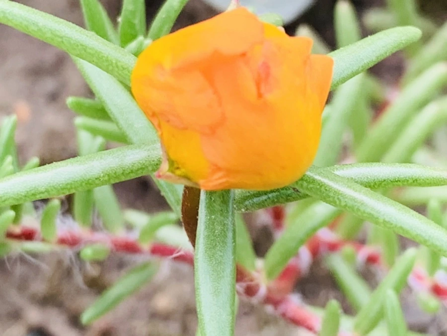 IMG_5623.jpg?type=w966