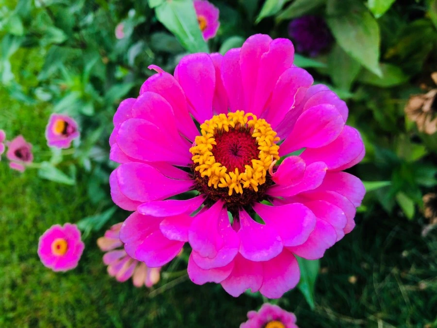 IMG_4311.jpg?type=w966