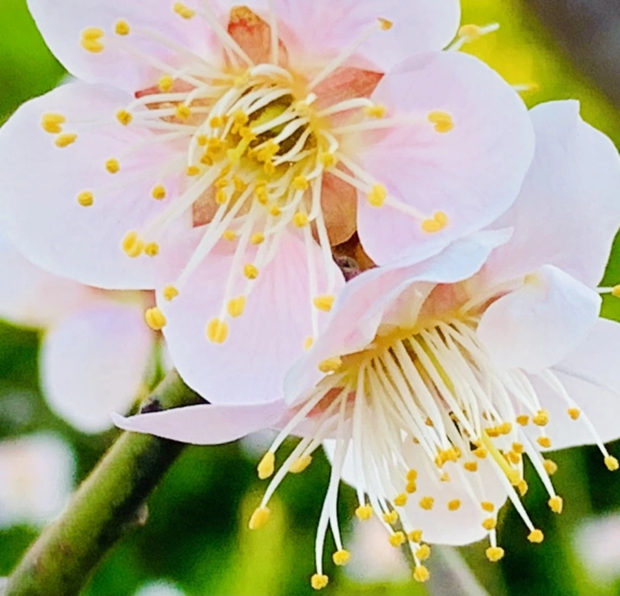 IMG_0795.jpg?type=w966