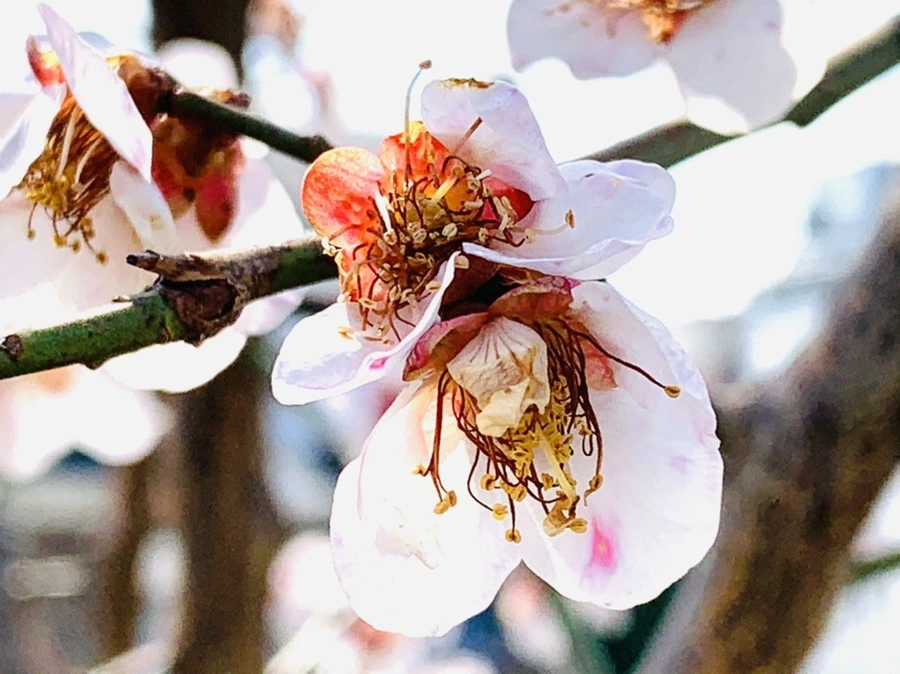 IMG_4224.jpg?type=w966