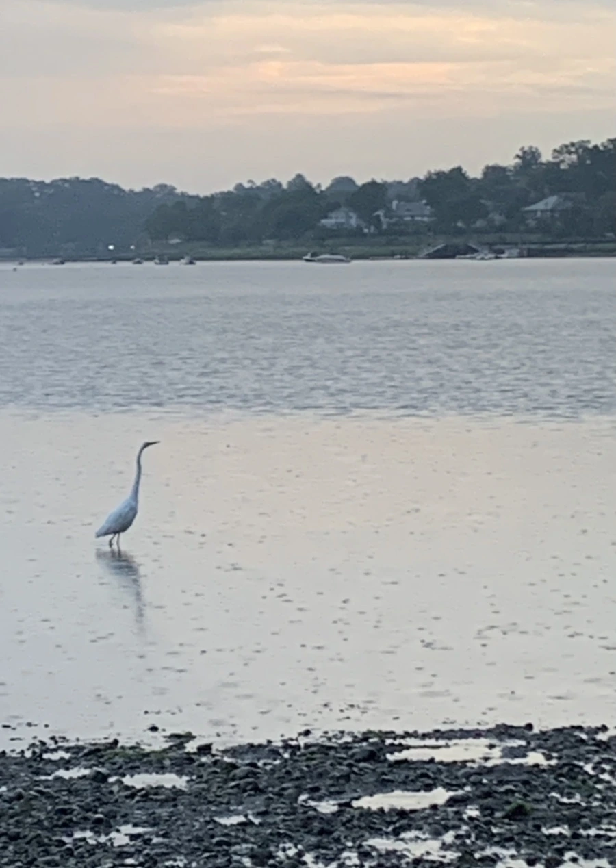 IMG_8122.jpg?type=w966