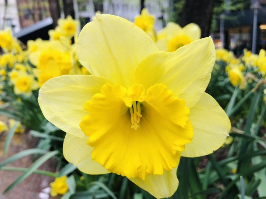 IMG_2600.jpg?type=w966