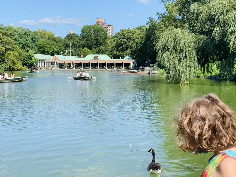 IMG_9710.jpg?type=w966