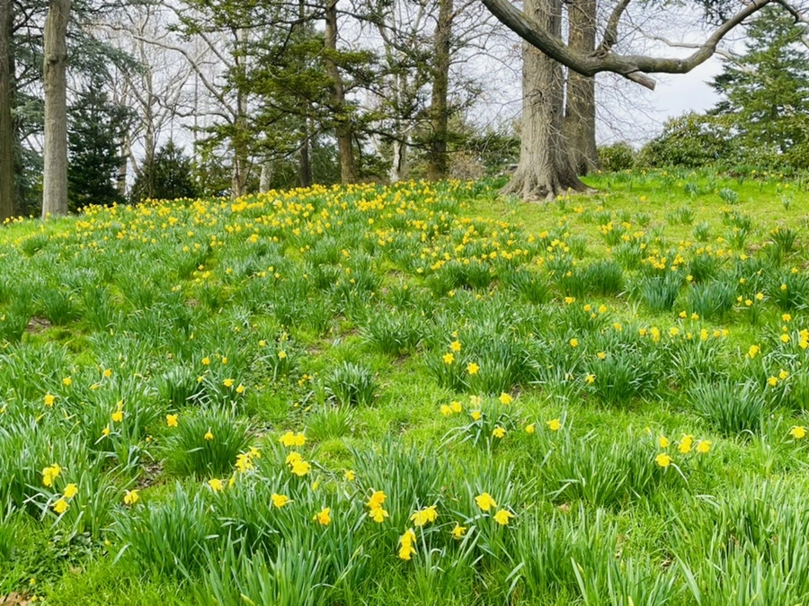 IMG_6722.jpg?type=w966