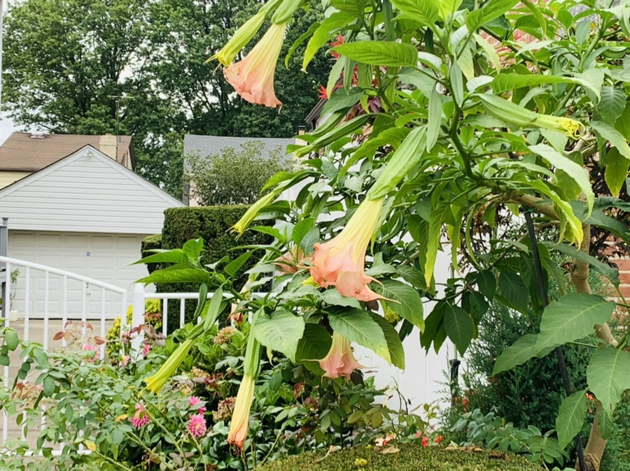 IMG_6033.jpg?type=w966