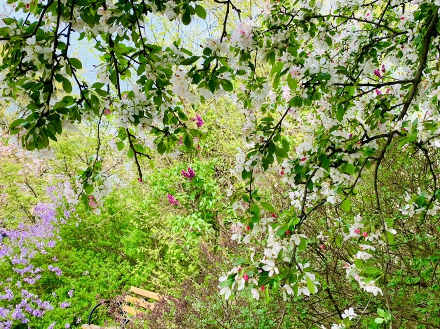 IMG_6988.jpg?type=w966