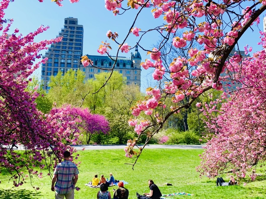 IMG_5946.jpg?type=w966