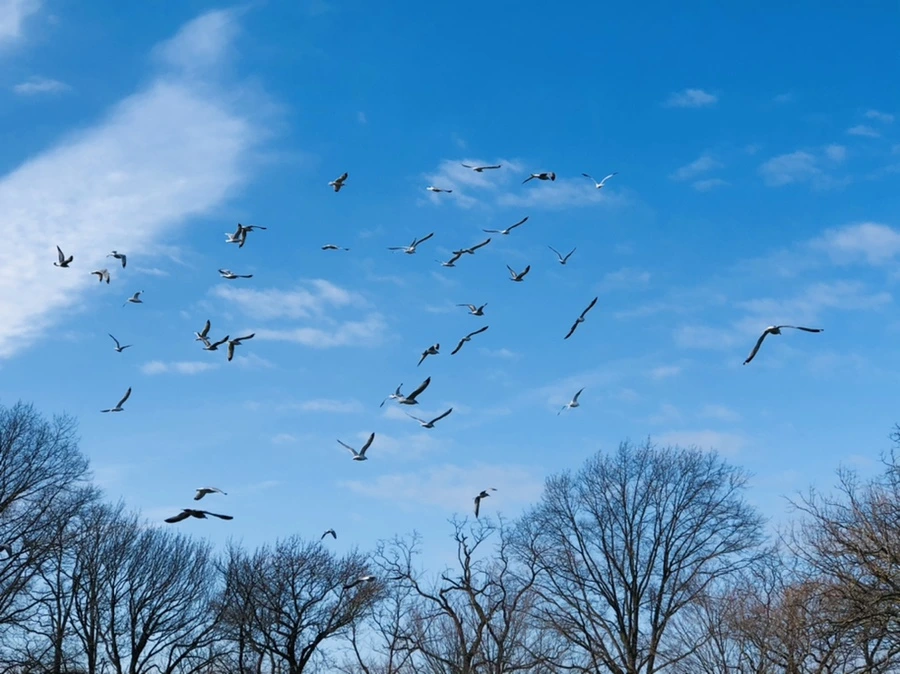 IMG_4713.jpg?type=w966