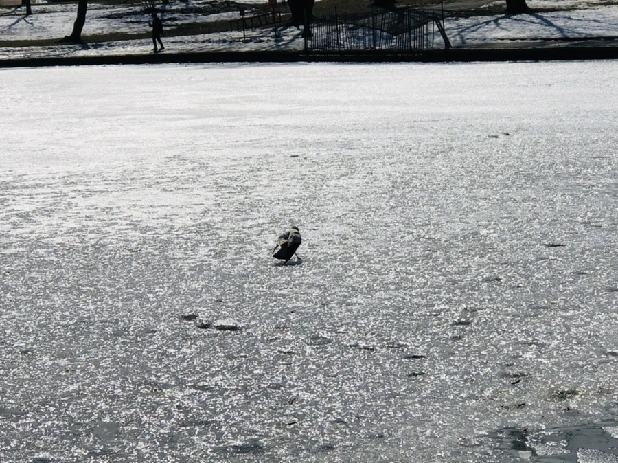 IMG_5318.jpg?type=w966