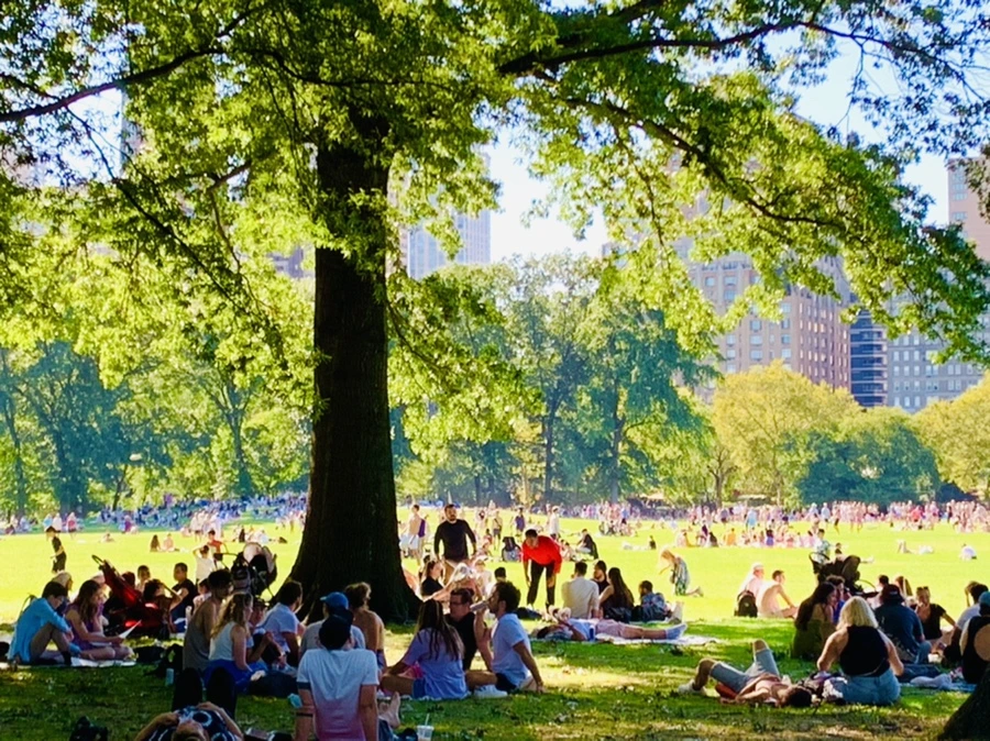 IMG_7674.jpg?type=w966