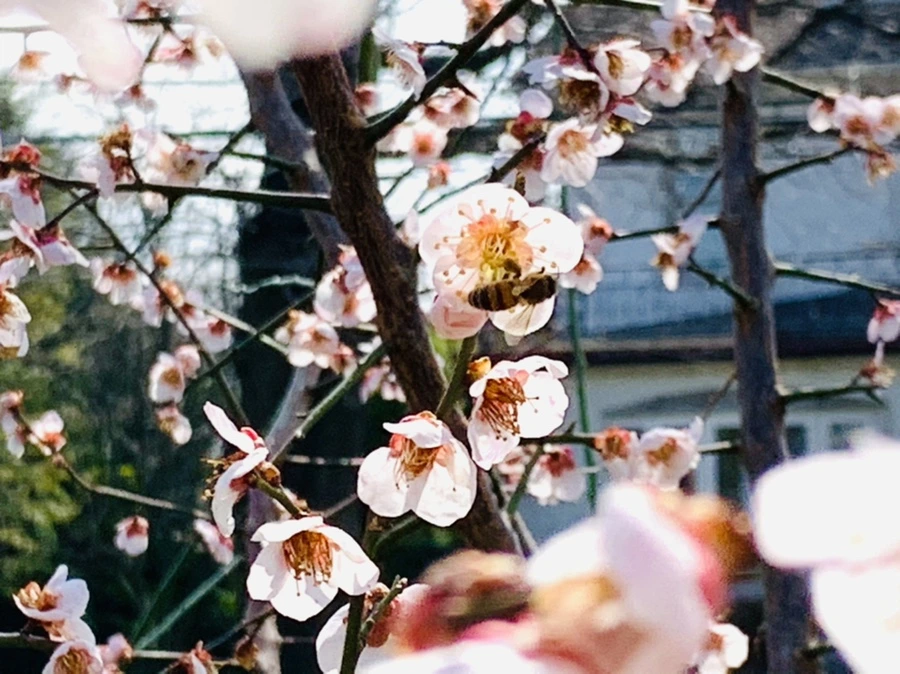 IMG_4213.jpg?type=w966