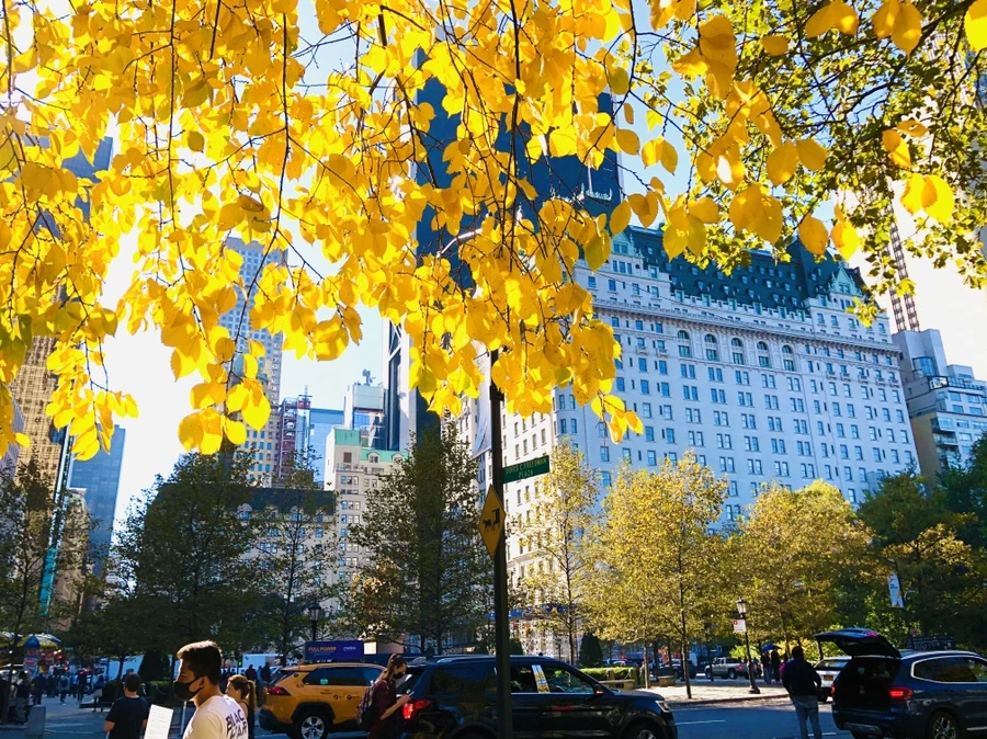 IMG_3749.jpg?type=w966