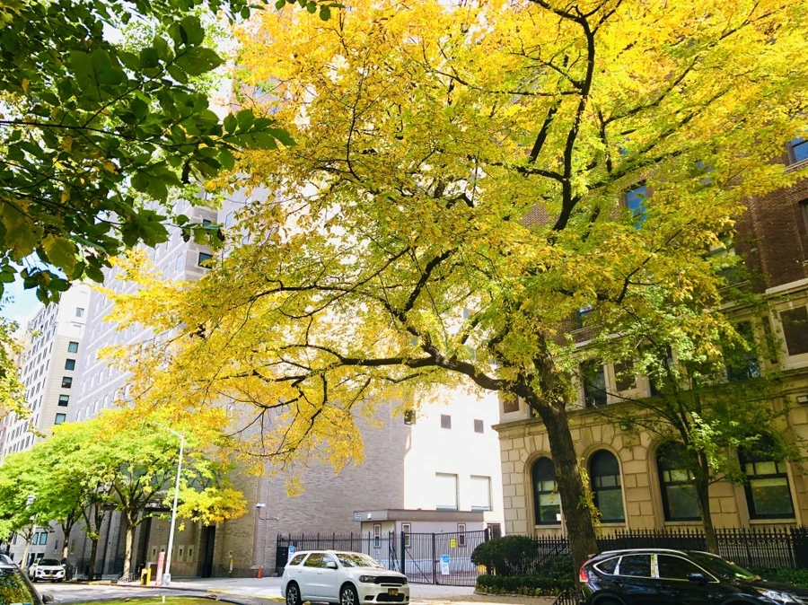 IMG_1930.jpg?type=w966