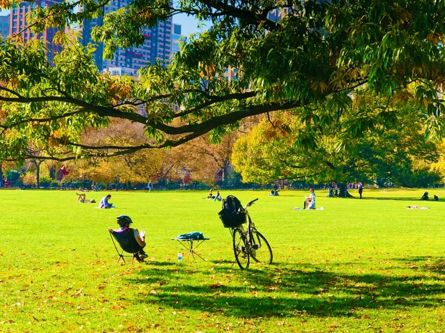 IMG_4326.jpg?type=w966