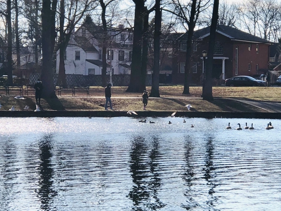 IMG_4196.jpg?type=w966