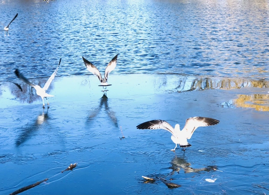 IMG_0519.jpg?type=w966