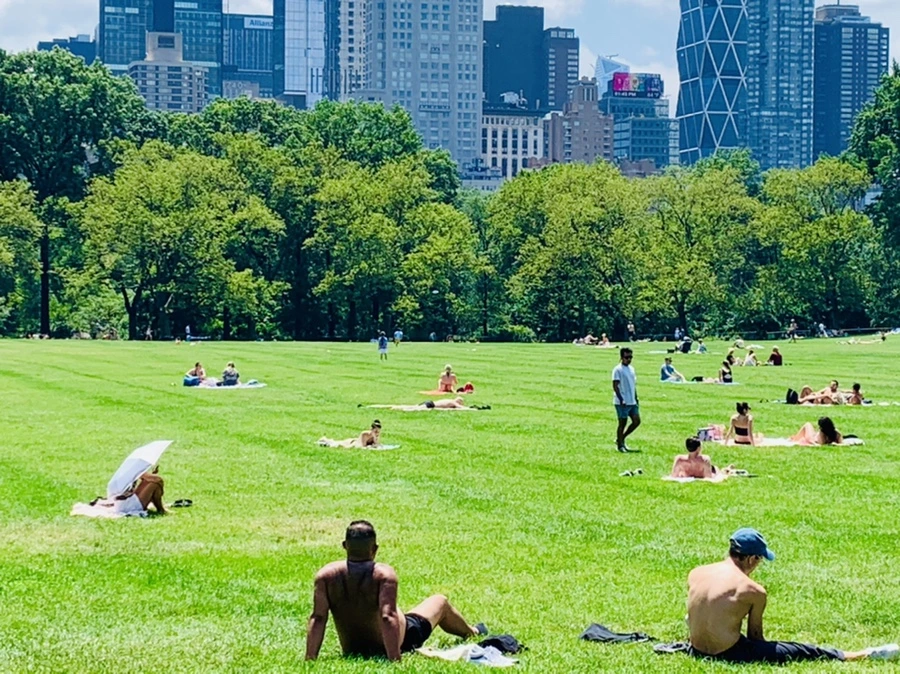 IMG_5381.jpg?type=w966