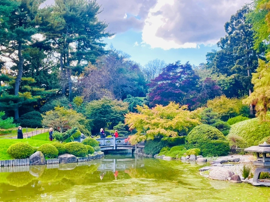 IMG_0174.jpg?type=w966