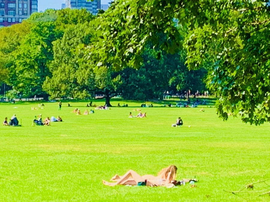 IMG_9667.jpg?type=w966