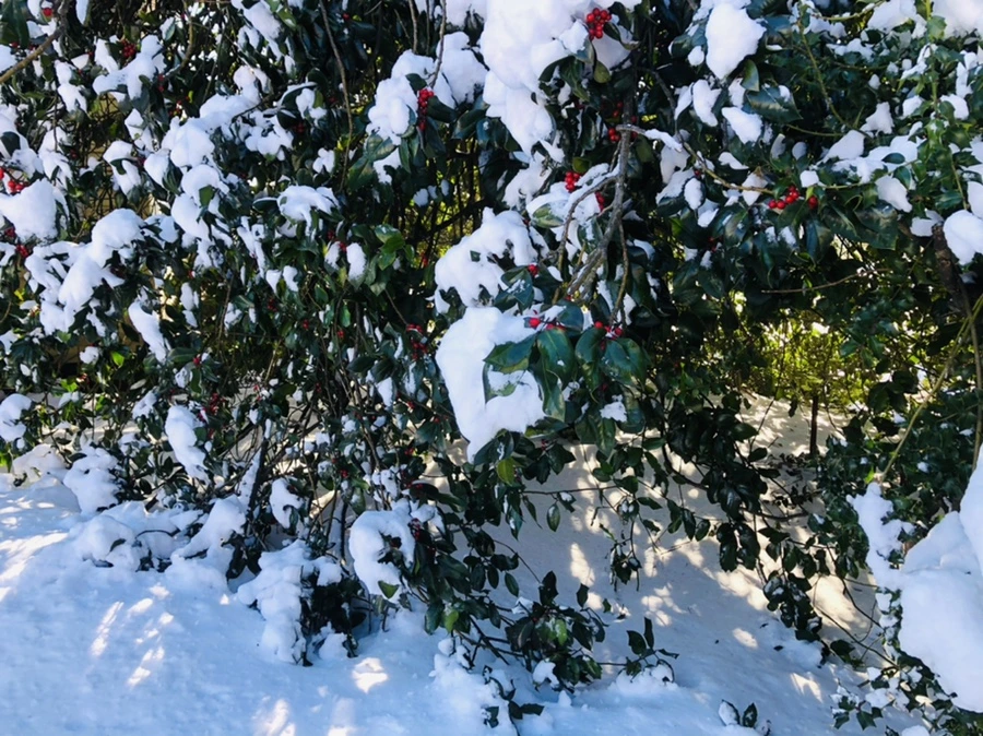 IMG_1383.jpg?type=w966