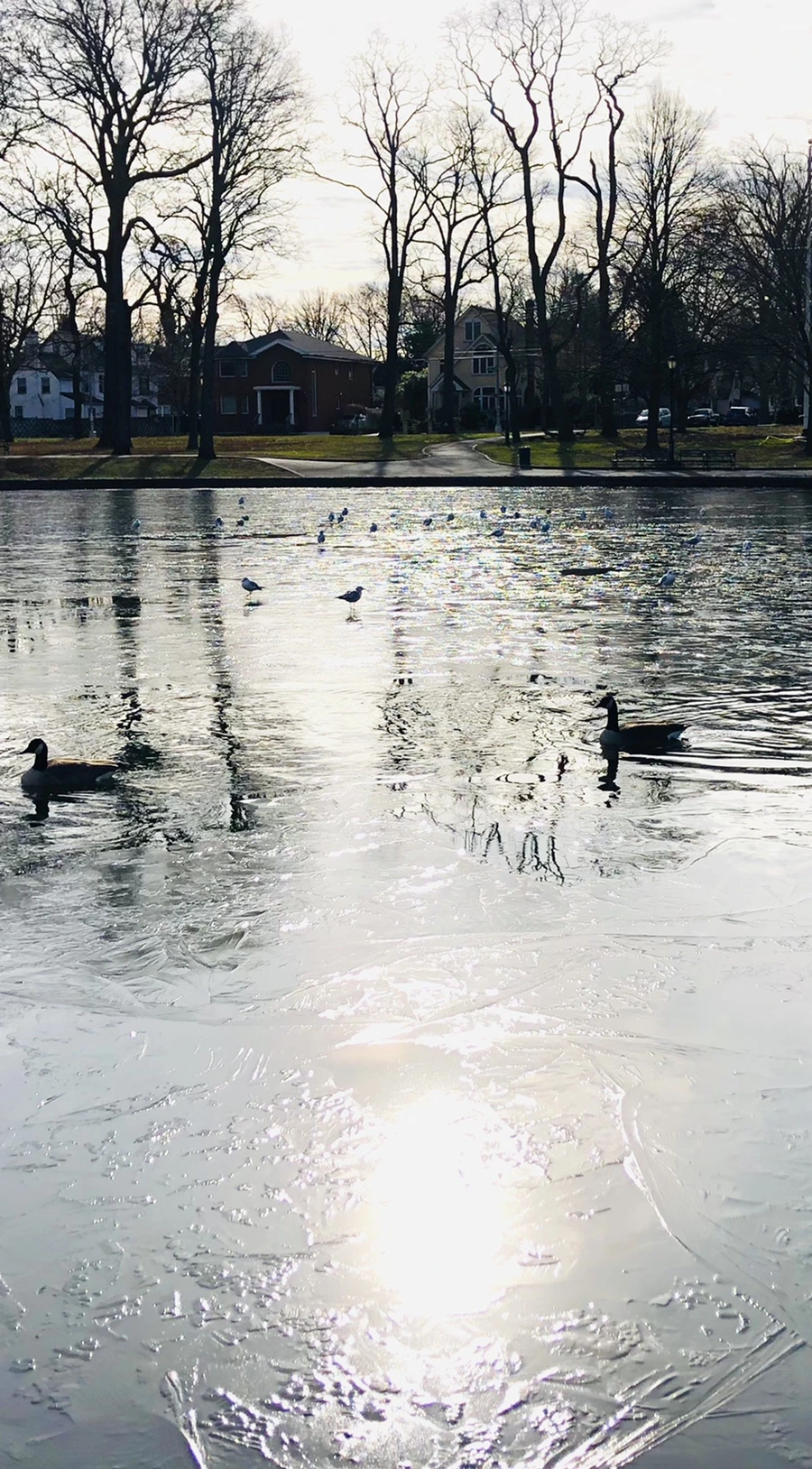 IMG_8456.jpg?type=w966