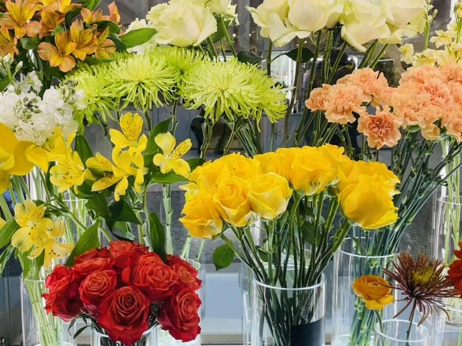 IMG_4695.jpg?type=w966