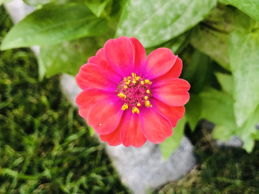 IMG_3635.jpg?type=w966