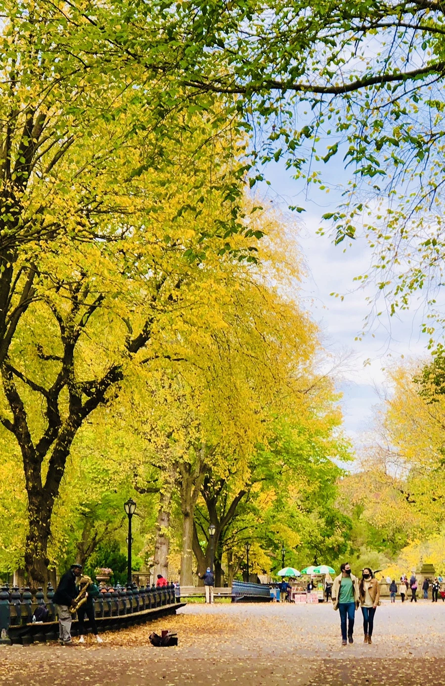 IMG_3081.jpg?type=w966