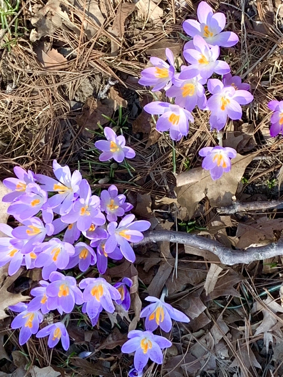 IMG_9766.jpg?type=w966