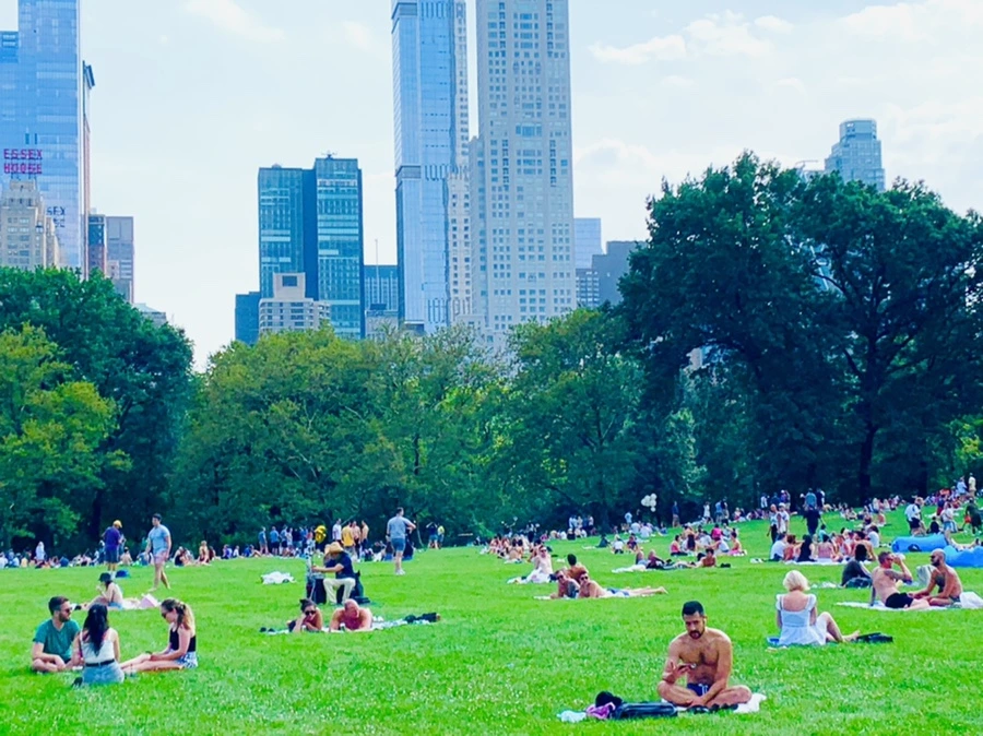 IMG_0587.jpg?type=w966