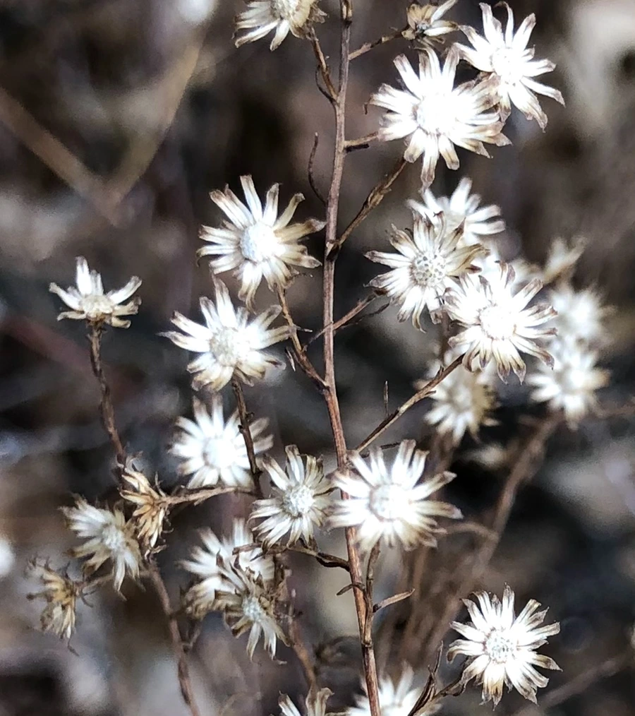 IMG_6504.jpg?type=w966