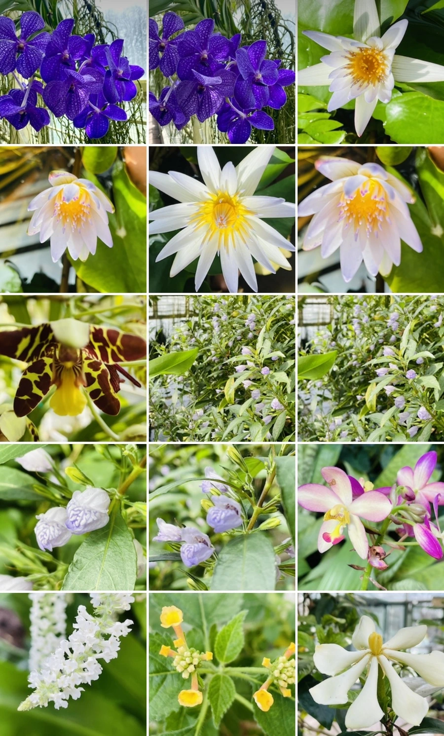 IMG_5409.jpg?type=w966