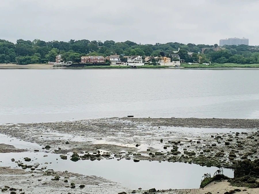 LTuV1VuypU6CKg6YvPBwKwyIpjw